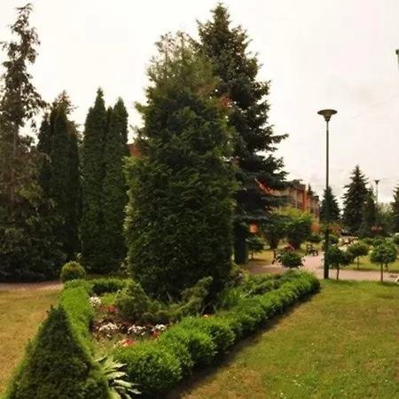 Villa Willa Pod Lasem